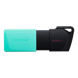 KINGSTON USB DT EXODIA M...