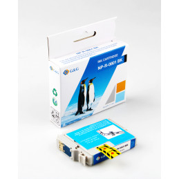 Epson Ink T0801 Black...