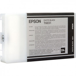 Epson Ink T603100 Photo...