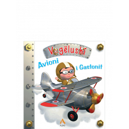 Albas Gaston's plane