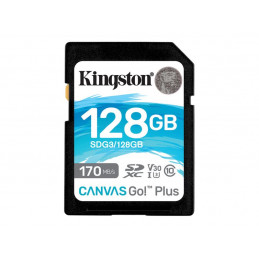 KINGSTON MEMORY CARD CANVAS...