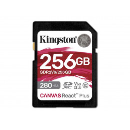 KINGSTON MEMORY CARD CANVAS...