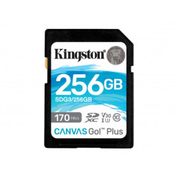 KINGSTON MEMORY CARD 256GB...
