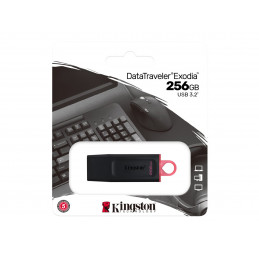 Kingston Stick 256GB USB...