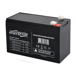 GEMBIRD Battery 12V 9 AH,...
