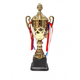 SMALL TROPHY / WINNER CUP 31cm