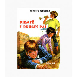 DJEMTË E RRUGËS PAL (REDONA)
